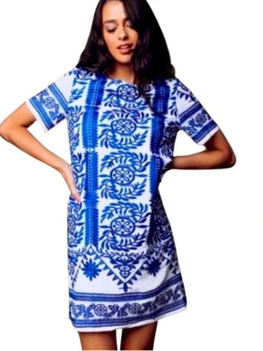 Blue and White embroidered Shift Dress